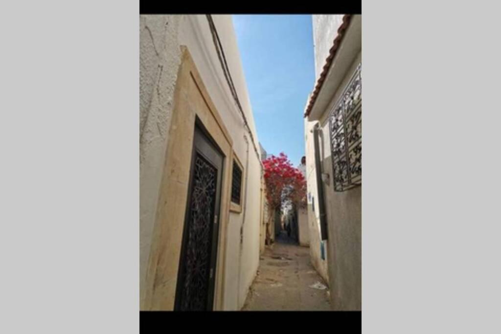 Dar El Halfaouine * Tunisi